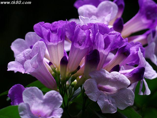 ãã¡ã€ã« 458-4.jpg