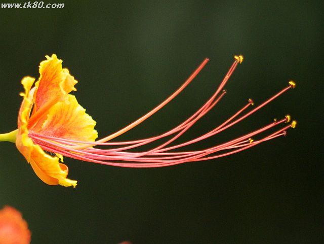 ãã¡ã€ã« 460-3.jpg