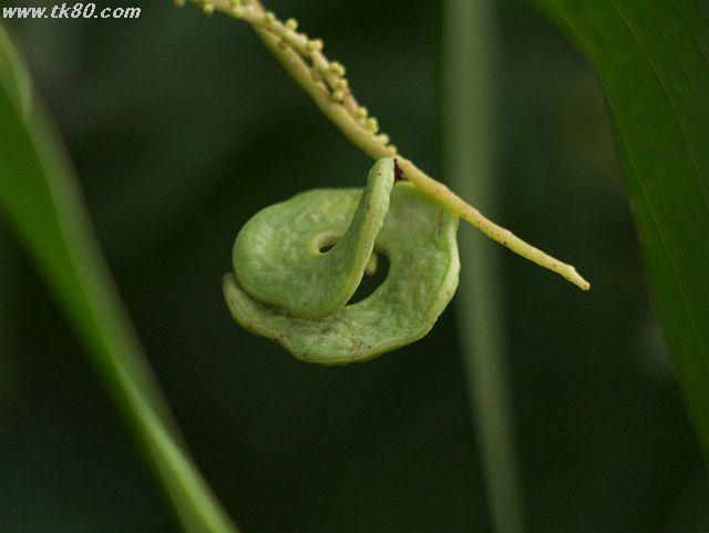 ãã¡ã€ã« 460-5.jpg