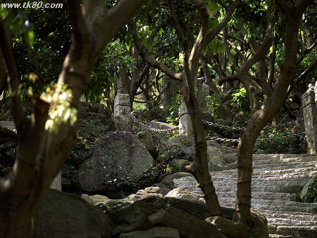 ãã¡ã€ã« 463-1.jpg