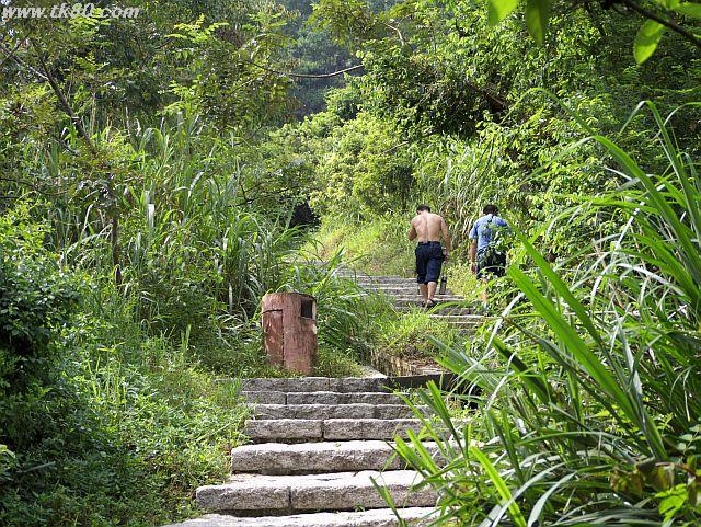 ãã¡ã€ã« 463-2.jpg