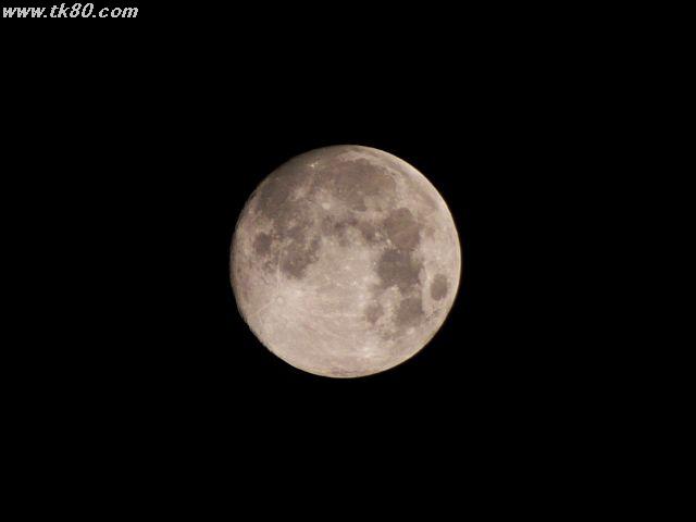 ãã¡ã€ã« 467-1.jpg