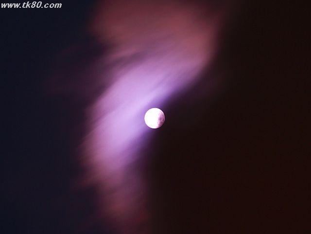 ãã¡ã€ã« 467-2.jpg