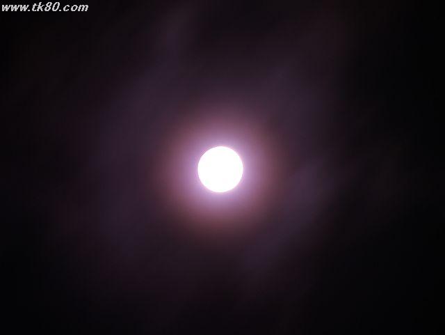 ãã¡ã€ã« 467-3.jpg