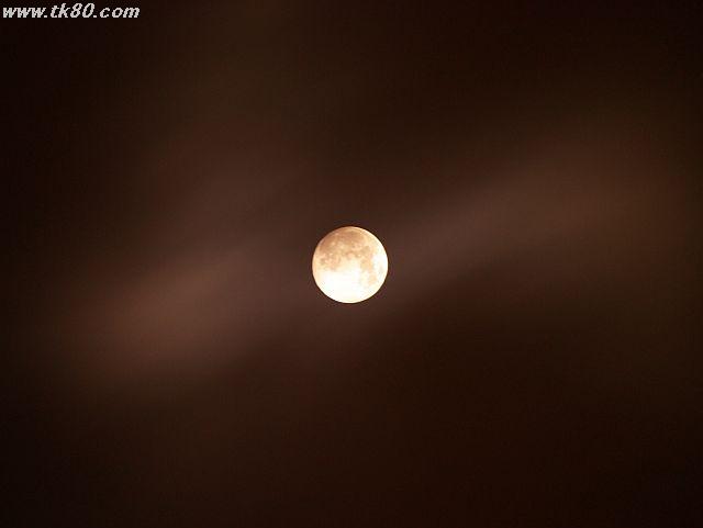 ãã¡ã€ã« 467-4.jpg