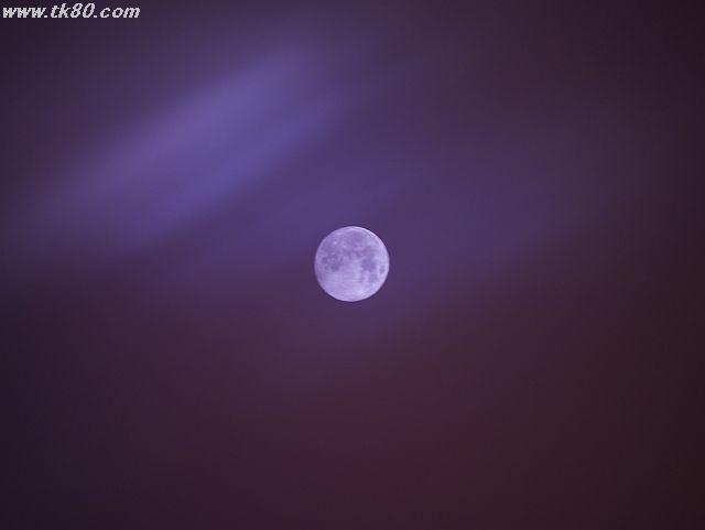 ãã¡ã€ã« 467-5.jpg