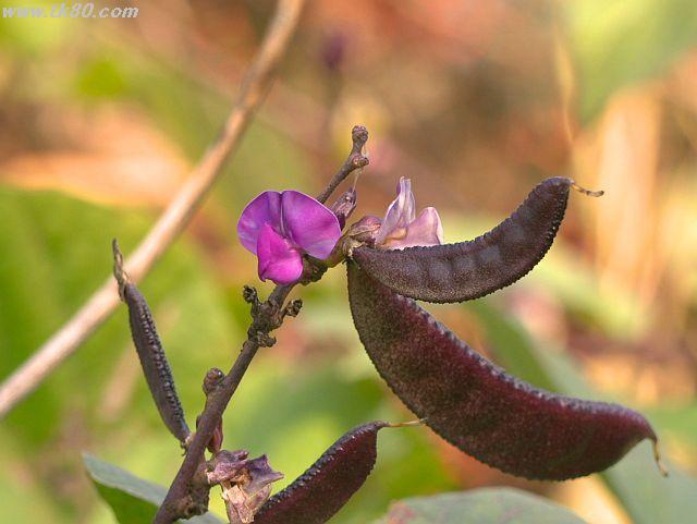 ãã¡ã€ã« 551-3.jpg