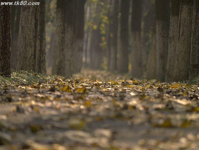 ãã¡ã€ã« 551-4.jpg