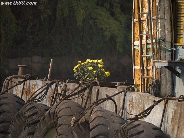 ãã¡ã€ã« 552-2.jpg