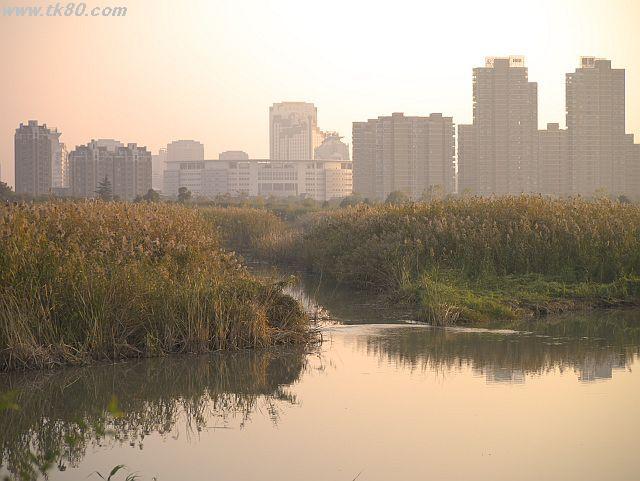 ãã¡ã€ã« 554-1.jpg