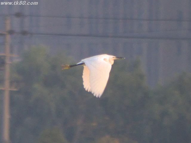 ãã¡ã€ã« 554-4.jpg