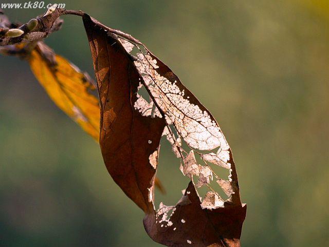 ãã¡ã€ã« 557-1.jpg