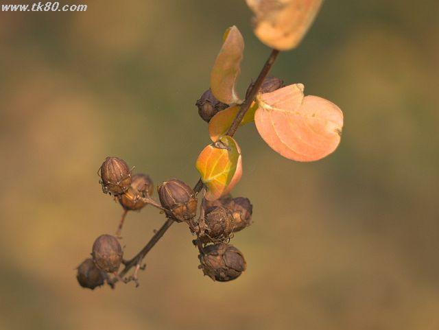 ãã¡ã€ã« 557-3.jpg