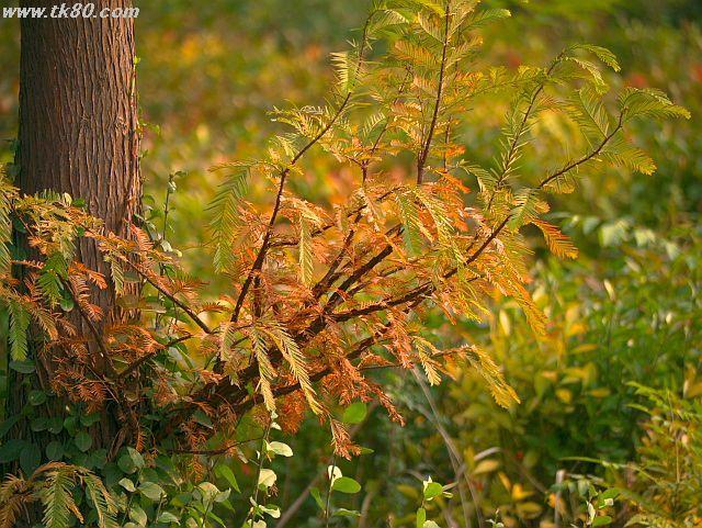 ãã¡ã€ã« 557-5.jpg