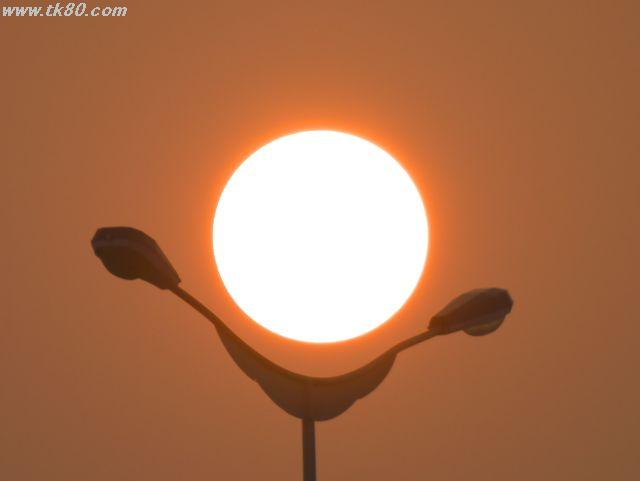 ãã¡ã€ã« 558-2.jpg