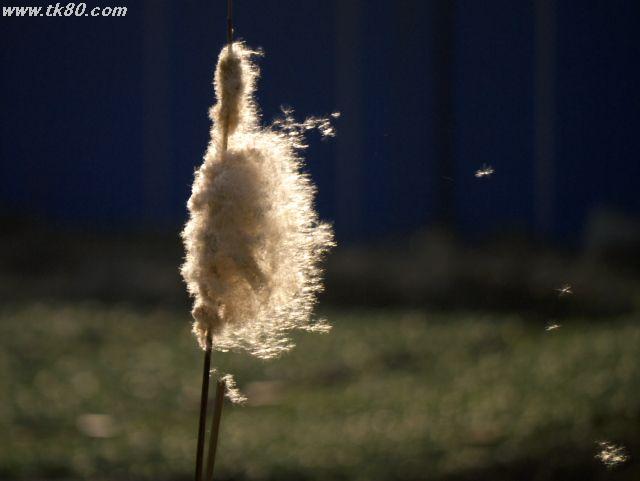 ファイル 569-5.jpg