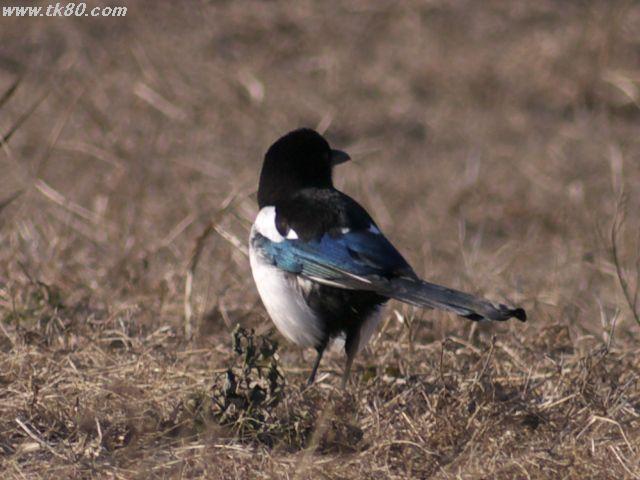 ファイル 570-1.jpg