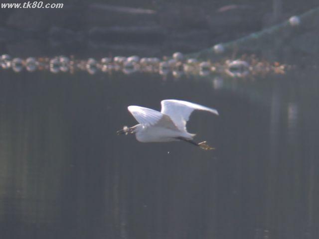 ファイル 570-2.jpg