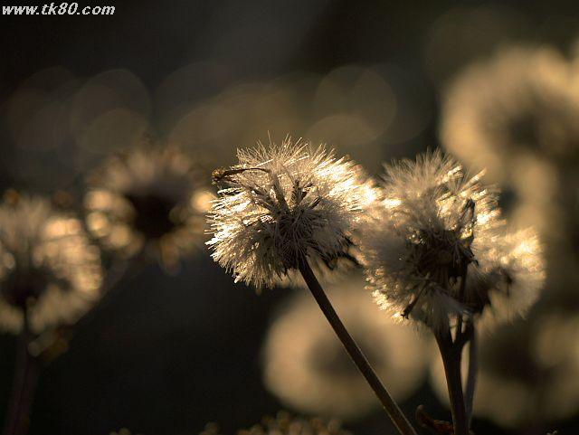 ファイル 570-4.jpg