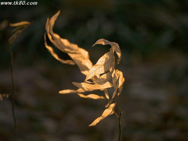 ファイル 570-5.jpg