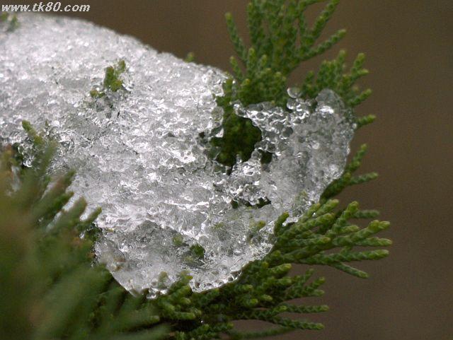 ファイル 571-1.jpg