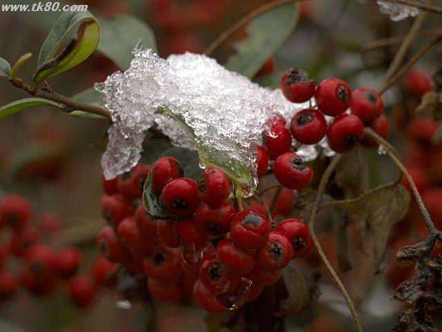 ファイル 571-2.jpg