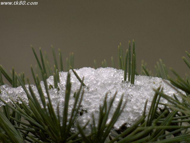 ファイル 571-3.jpg