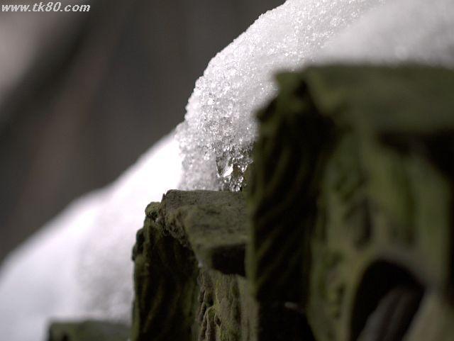 ファイル 571-4.jpg