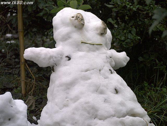 ファイル 571-5.jpg