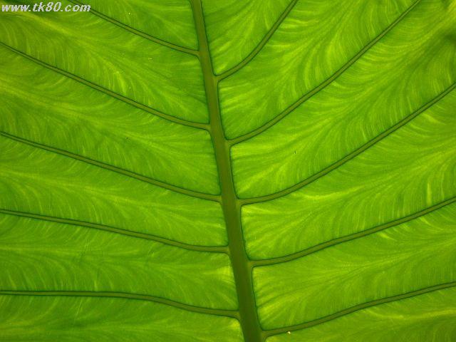 ファイル 572-1.jpg