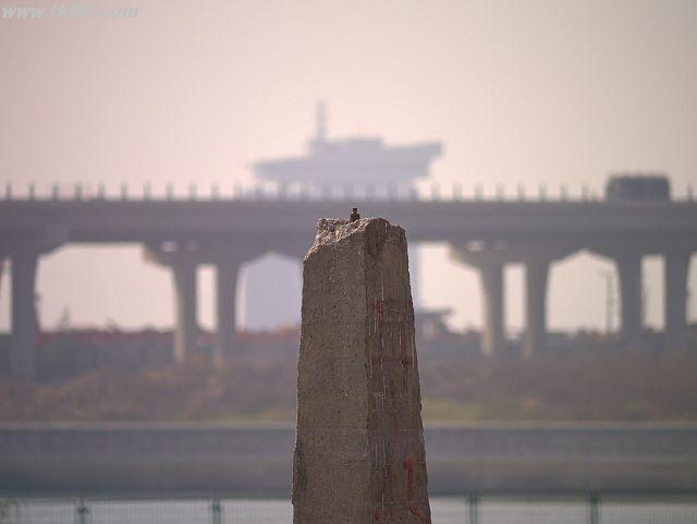 ファイル 574-1.jpg