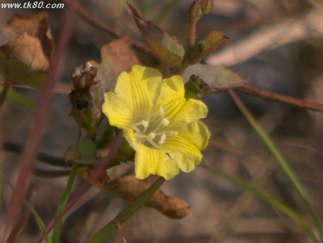 ファイル 574-2.jpg