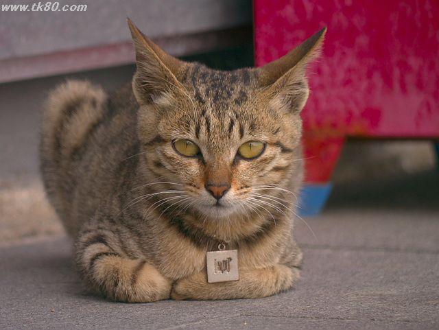 ファイル 575-3.jpg