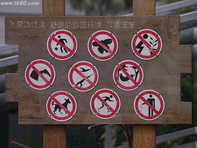 ファイル 575-4.jpg