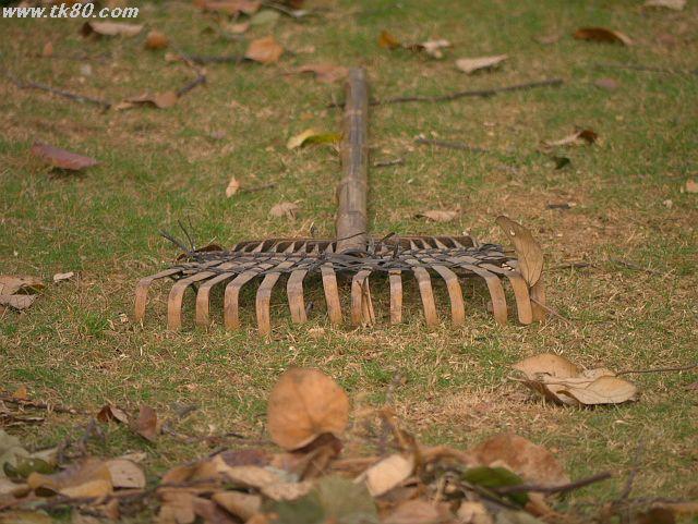 ファイル 575-5.jpg