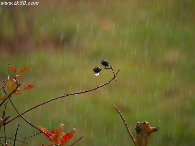 ファイル 576-2.jpg