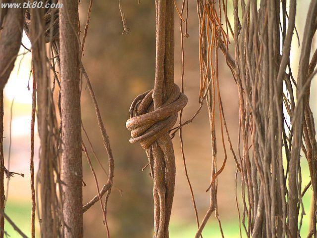 ファイル 576-4.jpg