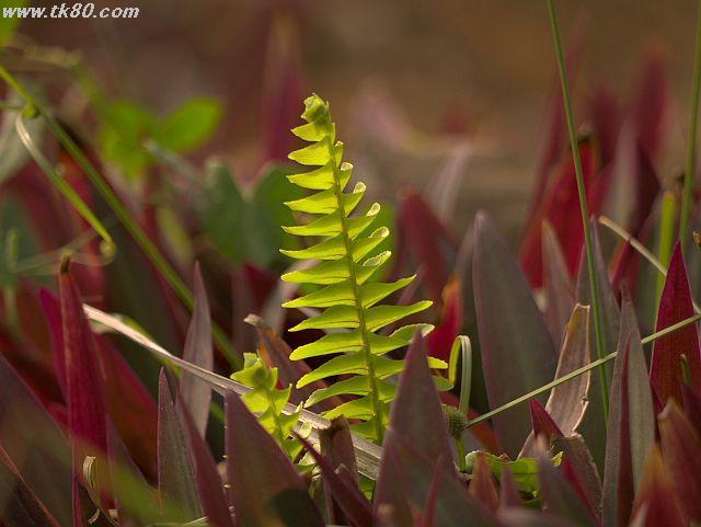 ファイル 576-5.jpg