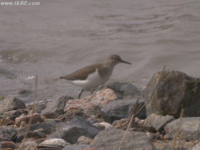 ファイル 577-1.jpg