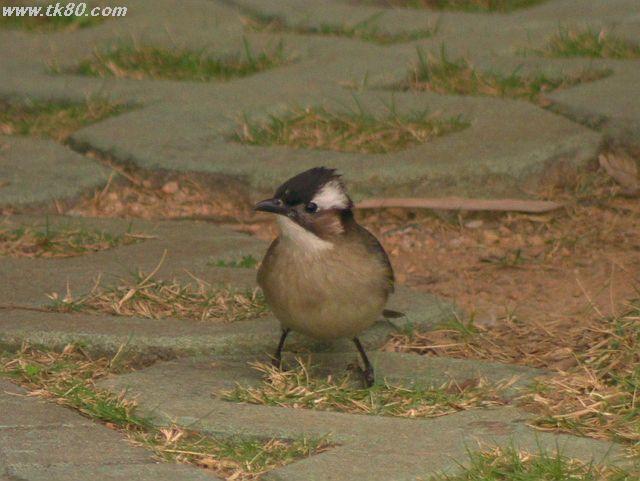 ファイル 577-5.jpg