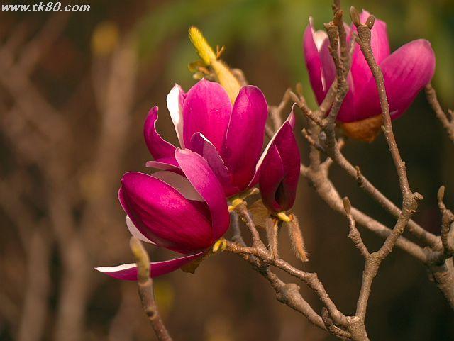 ファイル 588-1.jpg