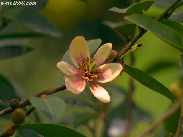 ファイル 588-2.jpg