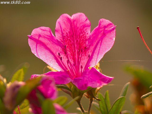 ファイル 588-3.jpg