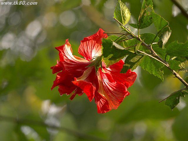 ファイル 588-4.jpg