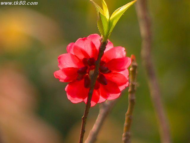 ファイル 588-5.jpg