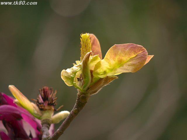 ファイル 589-2.jpg