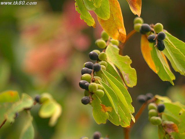 ファイル 589-3.jpg