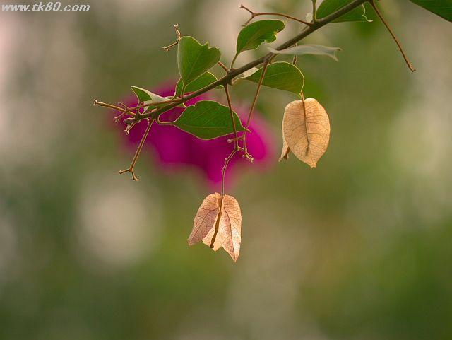 ファイル 589-4.jpg