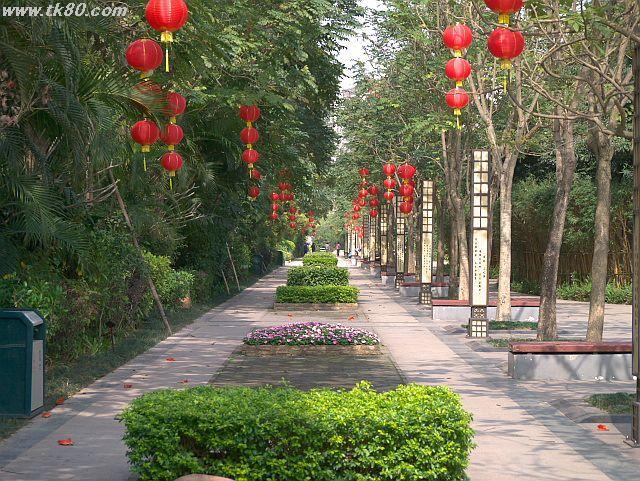 ファイル 590-1.jpg