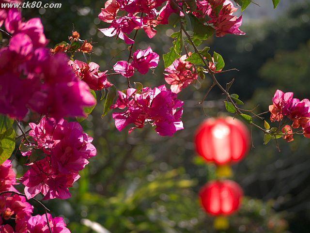 ファイル 590-4.jpg